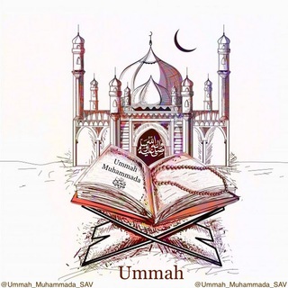 ☾Ummah Muhammada ﷺ