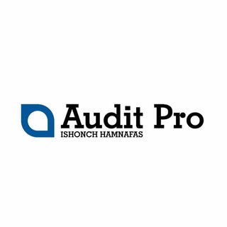 Audit Pro | Rasmiy