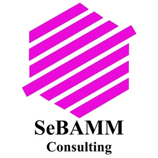 SeBAMM consulting