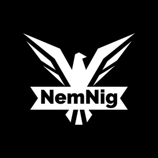 NemNig IT Academy